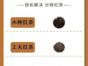 本茶纲目之正山小种：红茶典范的深邃品鉴与解析