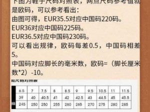 欧亚精品码1码2一码3码_欧亚精品码 1 码 2 一码 3 码，有何特点和用途？