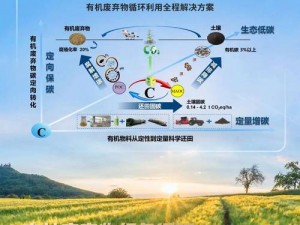 日本矿转码专一 2023：技术与创新的引领者