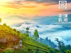 昔归茶韵飘香：临沧的茶文化探寻之旅