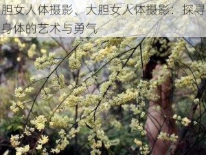 大胆女人体摄影、大胆女人体摄影：探寻女性身体的艺术与勇气