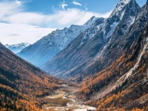 大地资源二在线观看免费高清图片——汇聚丰富的自然资源图库，满足你对自然之美的追求