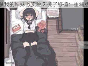 拿我的妹妹做实验 2 桃子移植：重制版