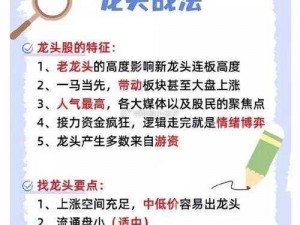 天天打波利公会战活动全面解析：实战策略与玩法指南