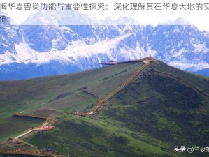 无悔华夏兽巢功能与重要性探索：深化理解其在华夏大地的实用价值