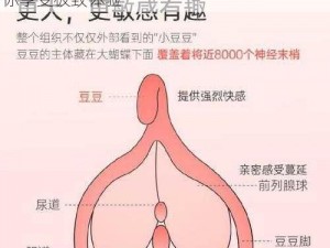 进进出出呻吟紧白浆，高品质成人用品，让你享受极致体验