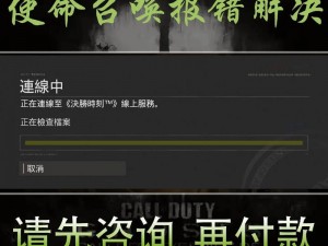 使命召唤游戏出现COD 2011960报错解决方法详解：解决策略与步骤全解析