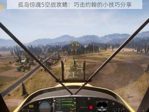 孤岛惊魂5空战攻略：巧击约翰的小技巧分享