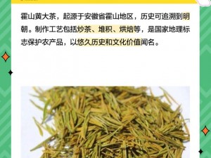 霍山黄大茶纲目：珍稀黄茶的独特魅力与文化传承