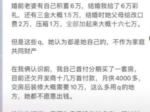 如何巧妙通过找到老婆的私房钱3第三十关：策略与技巧的完美结合