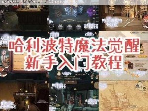 哈利波特魔法觉醒：禁林五级挑战攻略——决胜秘诀分享