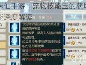 揭秘诛仙手游：宠物技能玉的获取途径与功能深度解读