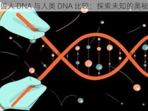 兽人 DNA 与人类 DNA 比较：探索未知的奥秘