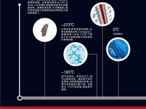 1V3高干穿越数字世界中的一个谜题-1V3 高干如何穿越数字世界解开谜题？