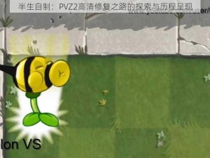 半生自制：PVZ2高清修复之路的探索与历程呈现