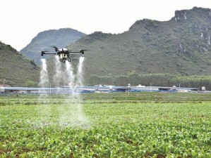 滑县某镇革新农业模式，无人机编队齐飞护航现代农业发展