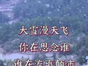 冬日纷飞大雪：雪舞之影与满弓刀的交织之歌