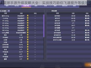 街头篮球手游升级攻略大全：实战技巧助你飞速提升等级与技能