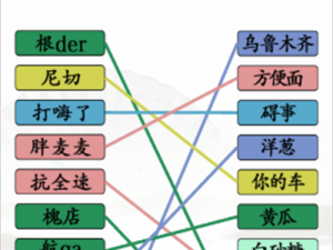 汉字找茬王连线广普攻略详解：通关技巧与难点解析