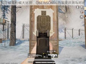 和平精英枪械大比拼：QBZ与SCAR-L的深度评测与对比