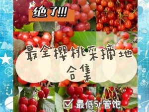 樱桃入口网址—樱桃入口网址是多少？