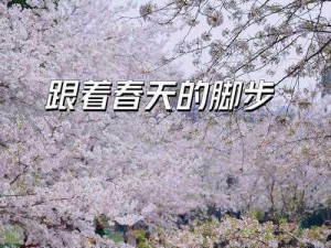 春光四时游玩全攻略：从初芽到花开，一路探寻春天的足迹