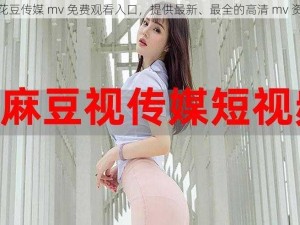 麻花豆传媒 mv 免费观看入口，提供最新、最全的高清 mv 资源