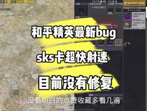 和平精英娱乐Bug攻略：教你巧妙卡住游戏小bug畅享乐趣