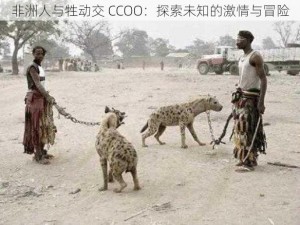 非洲人与牲动交 CCOO：探索未知的激情与冒险