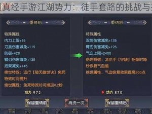 九阴真经手游江湖势力：徒手套路的挑战与探索