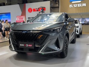 国产一级 SUV，颜值巅峰