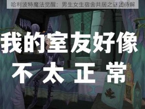 哈利波特魔法觉醒：男生女生宿舍共居之谜团待解