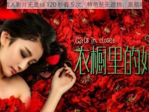 成人影片无遮挡 120 秒看 5 次，特色是无遮挡、高频率