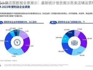 全民小镇店面数据全景展示：最新统计报告揭示各类店铺运营概况