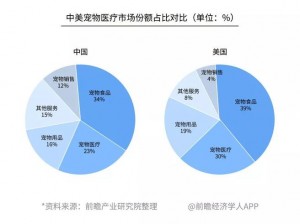 宠物币兑换指南：揭秘最佳策略，优选兑换物品精选推荐