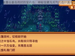 星露谷姜岛雨时的宝石鸟：神秘宝藏与天气的奇妙邂逅