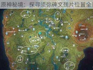 《原神秘境：探寻须弥碑文残片位置全览》