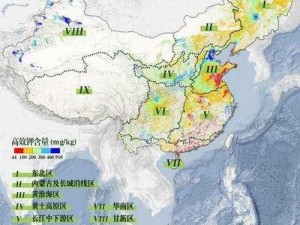 大地资源网6_大地资源网 6 是什么？有何作用？