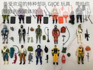 备受欢迎的特种部队 GIJOE 玩具，带给你极致的收藏体验