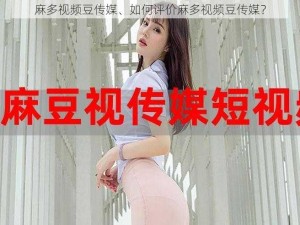 麻多视频豆传媒、如何评价麻多视频豆传媒？