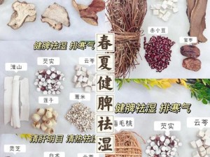 江湖秘传：悠悠弱效祛湿散配方揭秘：祛湿良方展现古老智慧之光芒