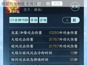 仙剑3D回合制镇狱明王队伍配置攻略：最佳角色搭配与宠物技能推荐