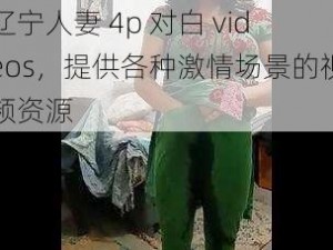 辽宁人妻 4p 对白 videos，提供各种激情场景的视频资源