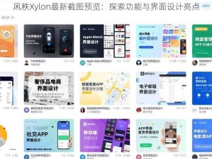 凩秩Xylon最新截图预览：探索功能与界面设计亮点