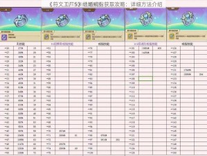 《符文工厂5》结婚戒指获取攻略：详细方法介绍