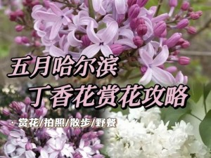 丁香五月在线观看：又到了丁香盛开的季节