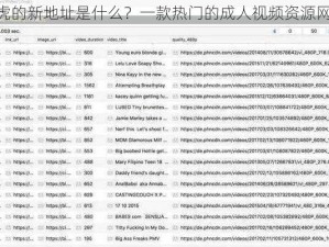 4 虎的新地址是什么？一款热门的成人视频资源网站