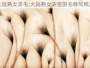 大陆熟女浓毛;大陆熟女浓密阴毛特写照片