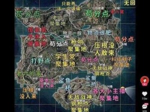 和平精英海岛第一深情称号获取攻略：解锁成为海岛精英之巅的秘诀