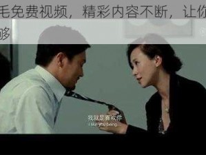 免费毛免费视频，精彩内容不断，让你一次看个够